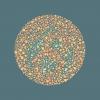 Drupal 8 sign shown in color blind test